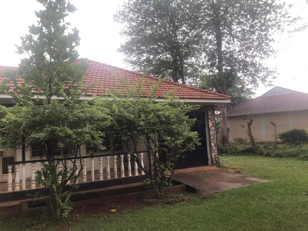 Homestaystudio62 جينجا المظهر الخارجي الصورة