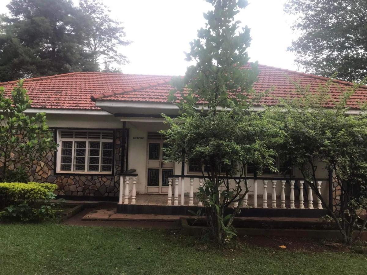 Homestaystudio62 جينجا المظهر الخارجي الصورة